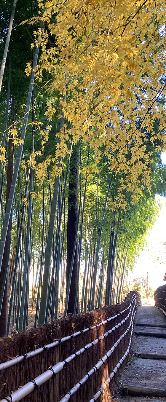 有限会社　エバタ造園 イメージ写真２