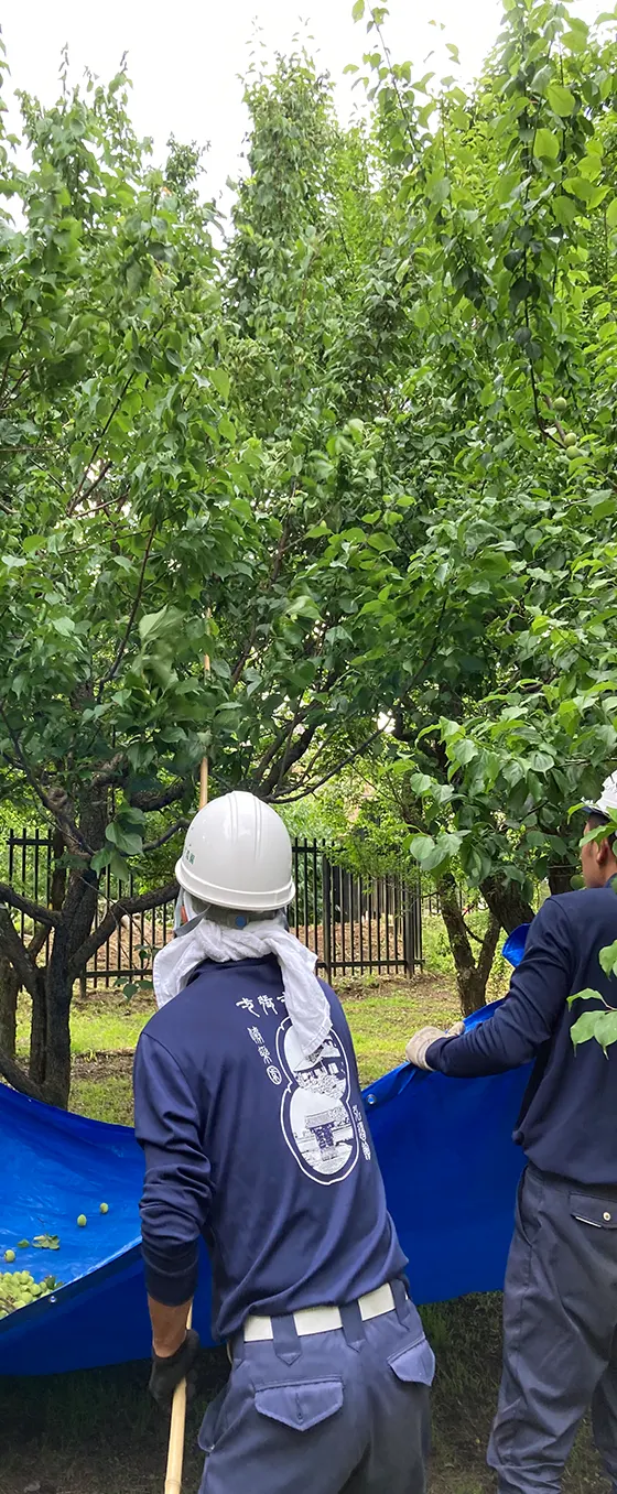 有限会社　エバタ造園 イメージ写真３